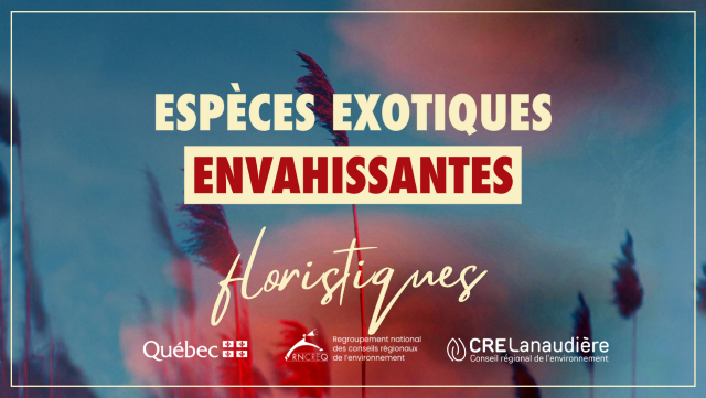 eee floristiques gabarit powerpoint strate gie pee pdf 1763469381