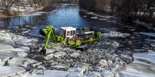 Grenouille Riviere LAssomption