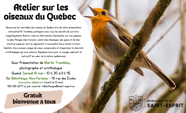oiseau